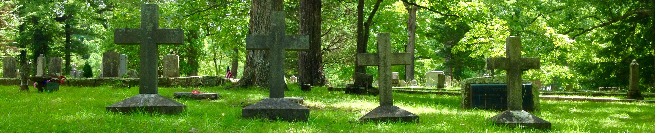 Row of crosses marking graves in cemetery